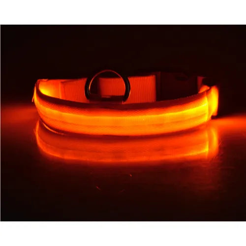 Collier LED Rechargeable pour Chien — Visible jusqu'à 500m