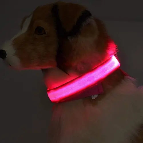 Collier LED Rechargeable pour Chien — Visible jusqu'à 500m
