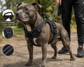 Harnais pour Chien Sans Tension - Rembourré et Réfléchissant